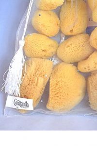 Natural Sea Sponge Organza Gift Bag