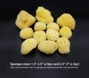Natural Sea sponge