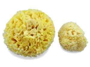 Premium Natural Sea Wool Sponges - 2 Soft Real Sponges 6"-7" (Large) & 3"- 4" (Medium) - Image 2